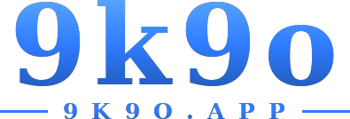 9k9o logo